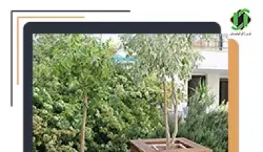 مدل خاص گلدان ترموود | جدیدترین دیزاین‌ها برای فضای داخلی و خارجی